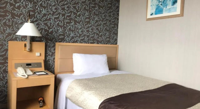 Одноместный номер Standard Numazu River Side Hotel