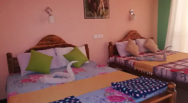 Номер Standard Sigiri La Veranda Lodge