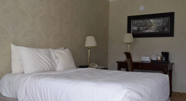 Номер Standard Festival Courtyard Inn