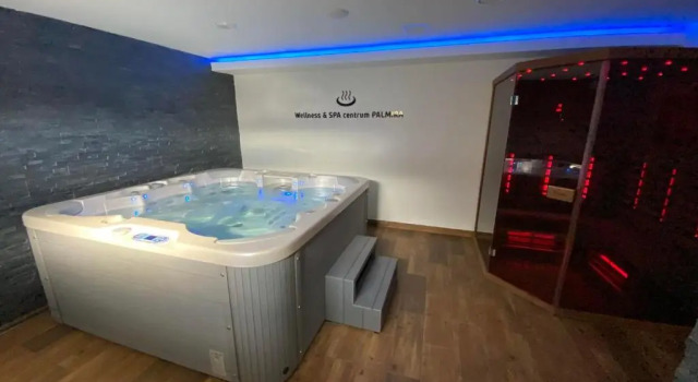 Двухместный номер Standard Hotel & SPA centrum PALMIRA