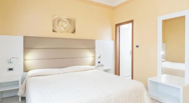 Двухместный номер Standard Hotel University