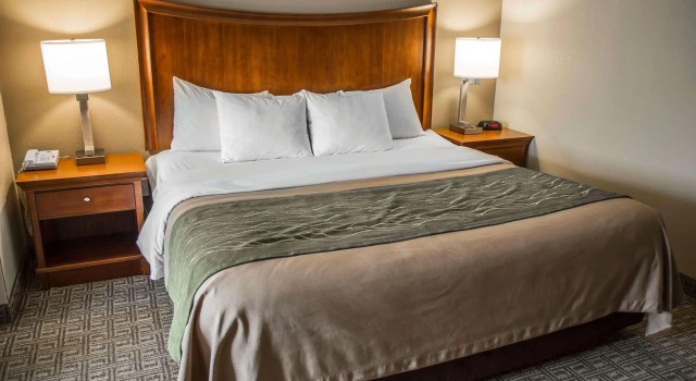 Двухместный люкс Quality Inn & Suites Bradford