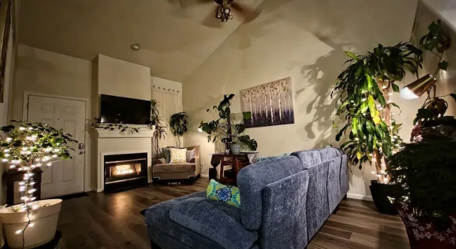Casa de gato, Book Pension Arvada Colorado