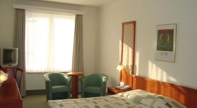 Одноместный номер Hotel Le Dome