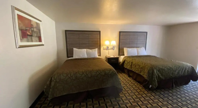 Номер Standard Motel In The Pines