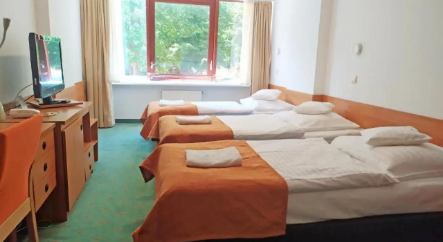 Трёхместный номер Standard Interferie Sport Hotel Bornit
