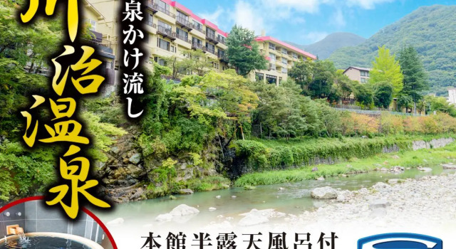 Номер Non-Smoking Modern Japanese-Style LiVEMAX RESORT Kawaji