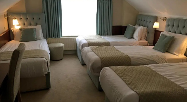 Четырёхместный номер Standard Maples House Hotel