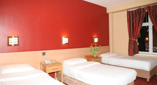Трёхместный номер Standard Harding Hotel