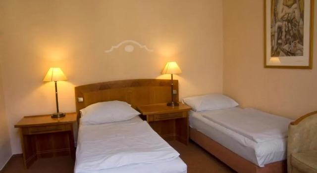 Номер Economy Dr. Adler Spa & Kurhotel