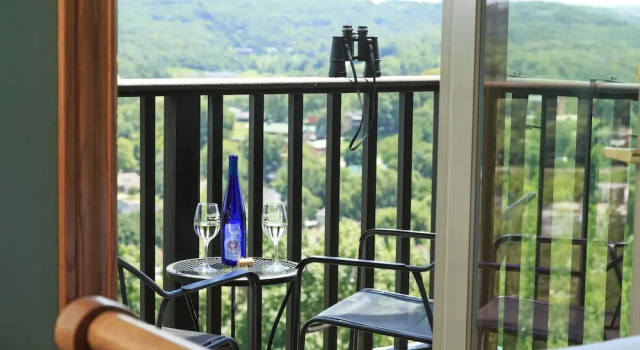 Premium suite Hermann Hill