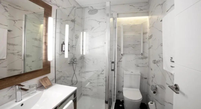 Одноместный номер Petit Palace Arana Bilbao