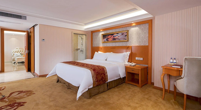 Люкс Deluxe Vienna Hotel Zhongshan Bus Station