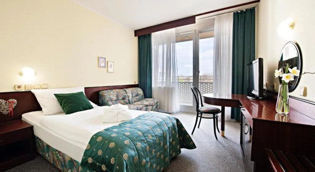Одноместный номер Economy Hotel Radin, Radenci Spa Resort - Sava Hotels & Resorts