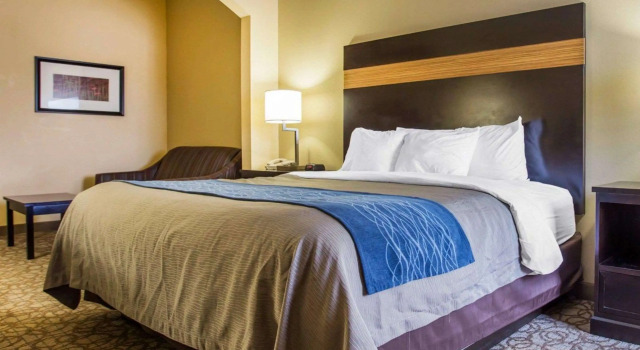 Двухместный люкс Comfort Inn & Suites at Stone Mountain