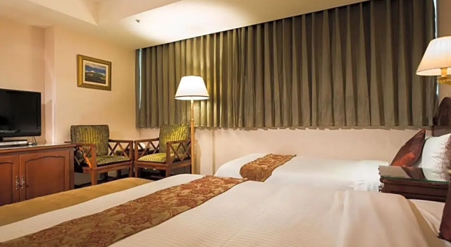 Camera Deluxe 新仕飯店-New City Hotel