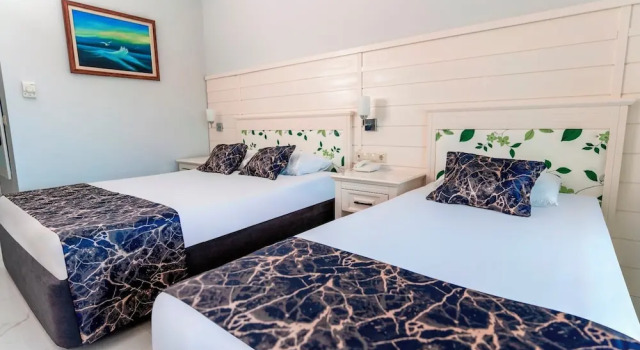 Номер Family c 1 комнатой Отель Rox Resort