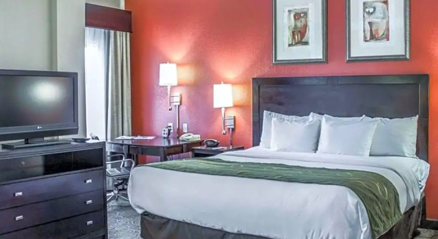 Полулюкс Executive Comfort Suites Regency Park