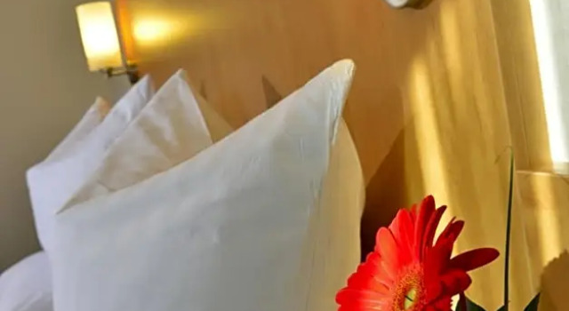 Одноместный номер Standard PLAZA INN Leonberg