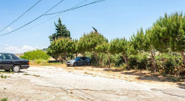 VIVIENDA TURíSTICA LOS NARANJOS