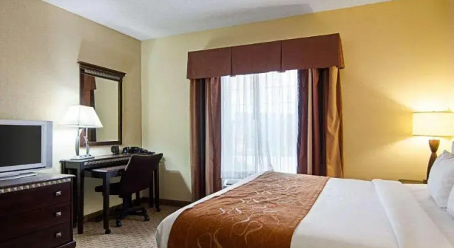 Люкс Standard Comfort Suites Conway