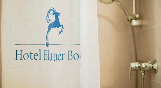 Одноместный номер Standard Hotel Blauer Bock