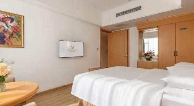 Люкс Business Vienna Hotel (Foshan Wenhua North Road Diejiao Subway Station Store)