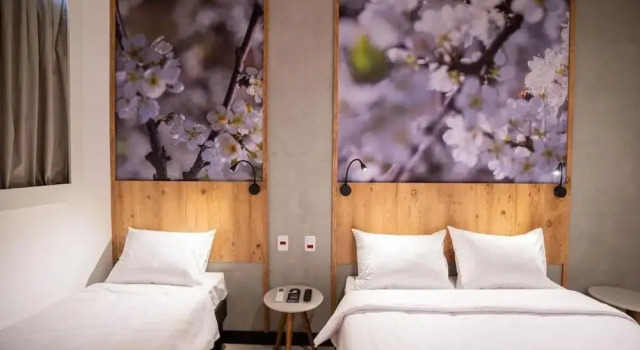 Трёхместный семейный номер Standard с балконом Campos De Holambra Inn