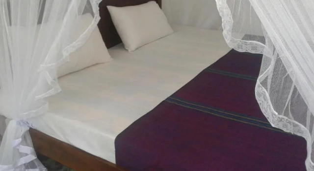 Трёхместный номер Standard Aluthgedara Guest House