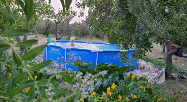 Коттедж Country house and sea in Sicily