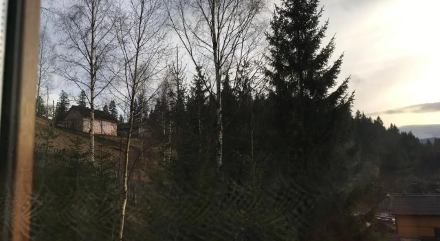 Полулюкс Skarbivka