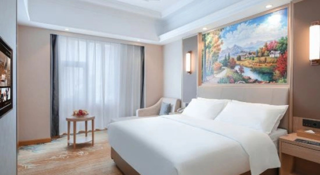 Люкс Deluxe Vienna International Hotel