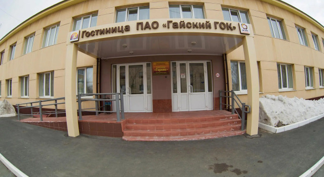 Горняк