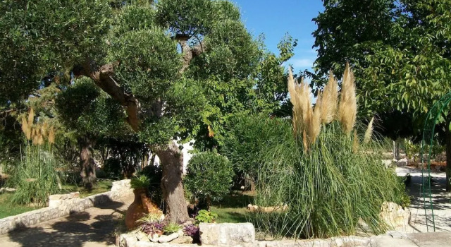 Agriturismo I Trulli di Zio Dino