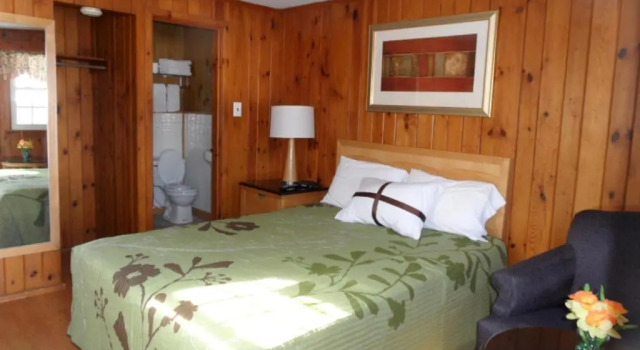 Двухместный номер Standard Seven Dwarfs Motel & Cabins