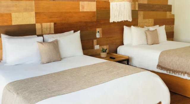 Номер Mayan Monkey Cancun - Social Hostel