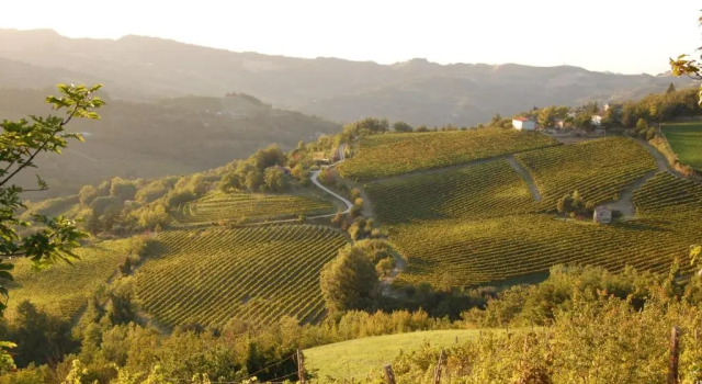 Villa Podere Quartarola