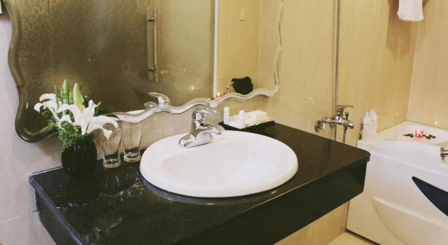 Двухместный номер Deluxe Cosiana Hue Hotel
