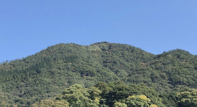 Hakone Garden House