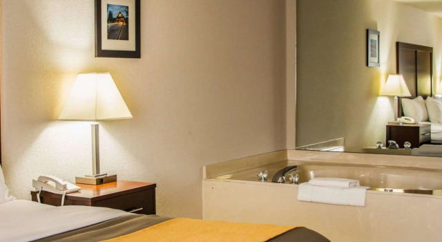 Двухместный люкс Comfort Inn Birch Run - Frankenmuth