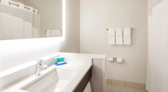 Люкс Holiday Inn Express Hotel & Suites Minneapolis-Downtown Convention Center by IHG