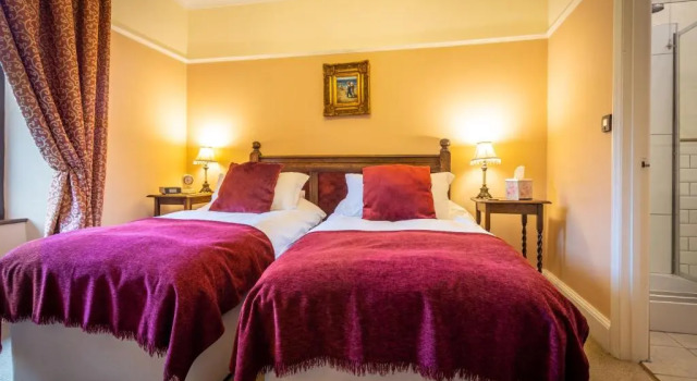 Двухместный номер Standard Pendragon Country House