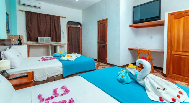 Четырёхместный номер Standard Hotel Coloma Galapagos