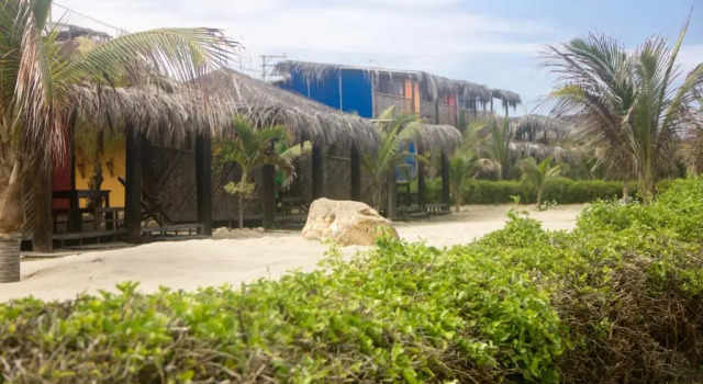 Бунгало Hoja de Palma Bungalows