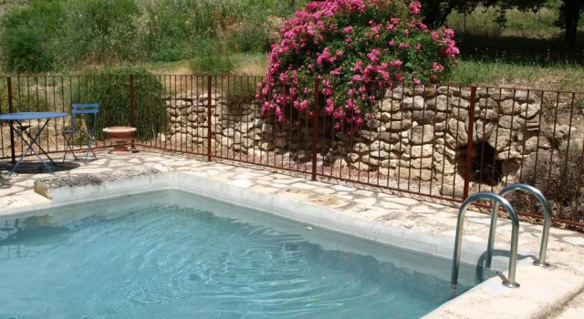Номер Standard jardin dantan