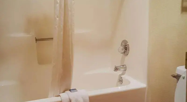 Номер Standard Best Western Pine Springs Inn