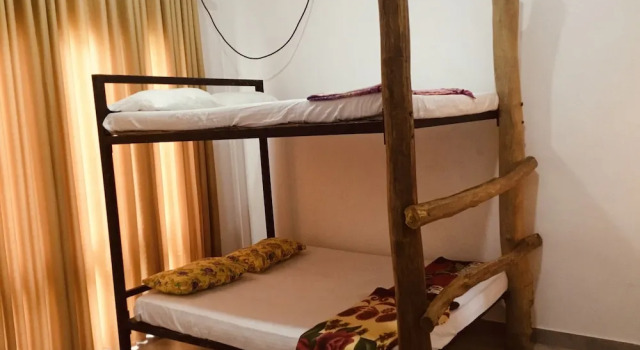 Номер Deluxe Jungle city Hostel