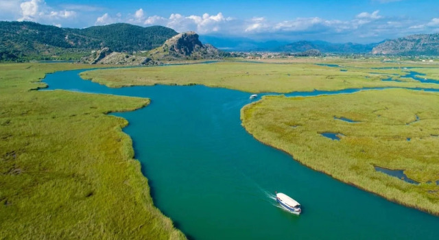 Коттедж Villa Grand Yasar 3