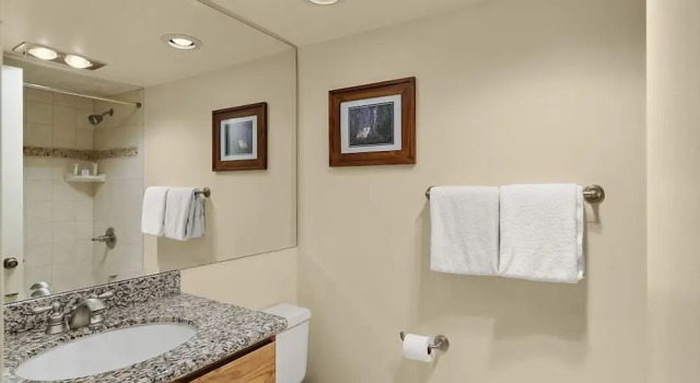 Номер Standard с 2 комнатами с балконом и с видом на реку Chateau Eau Claire & Roaring Fork by Frias Properties