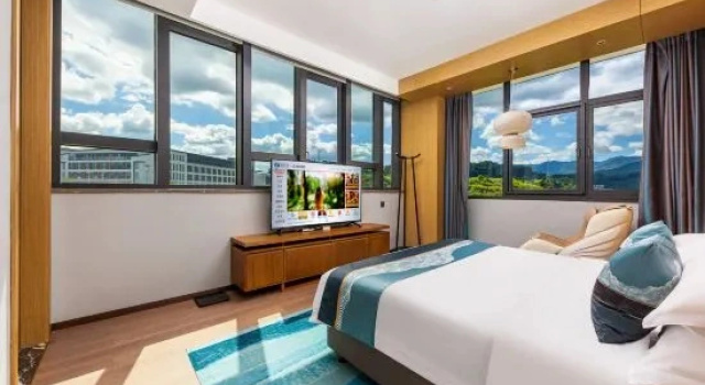 Suite Executive Muvi Hotel
